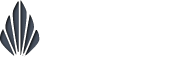 Intelekto.pl